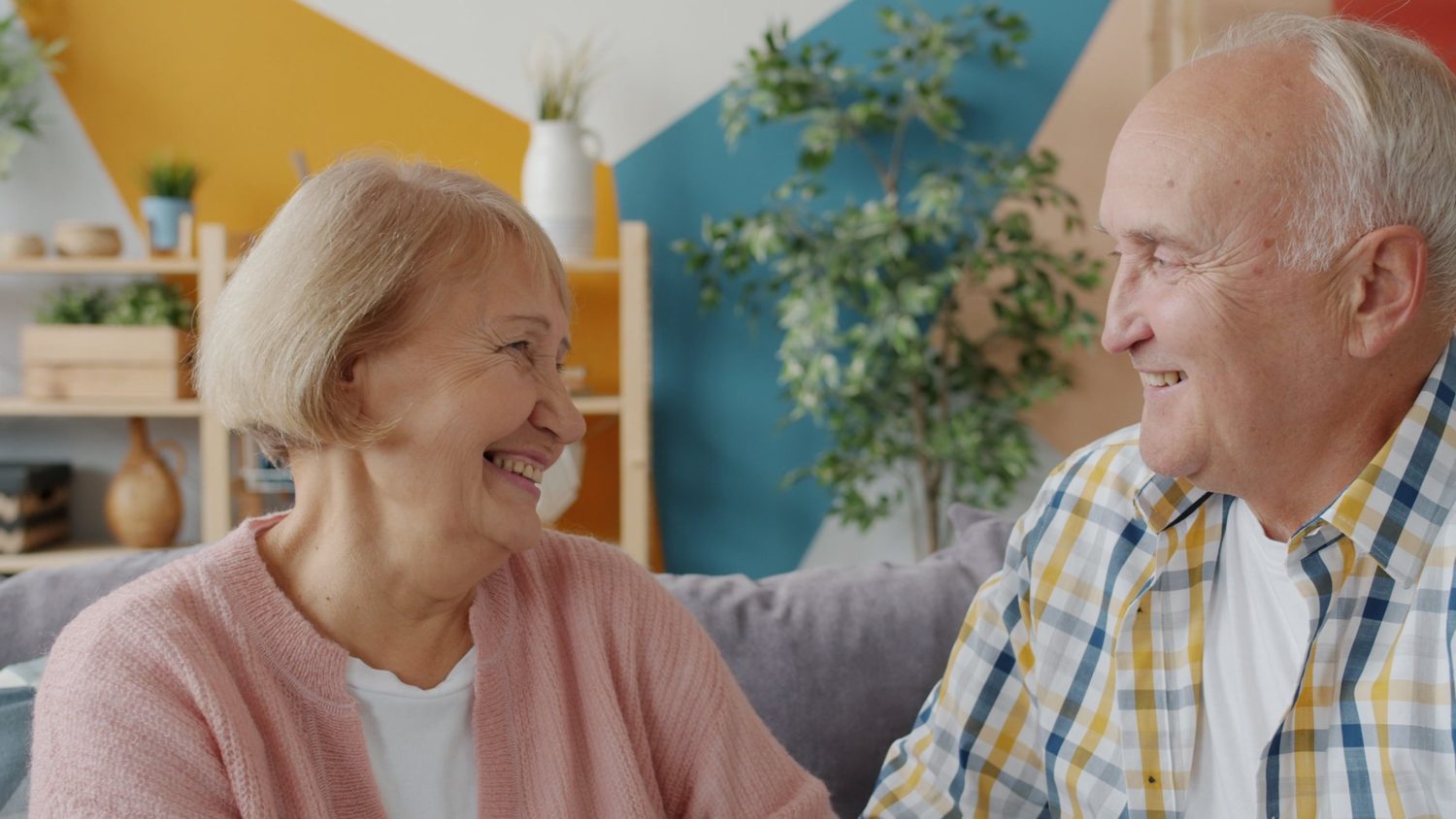 Smiling senior couple at home